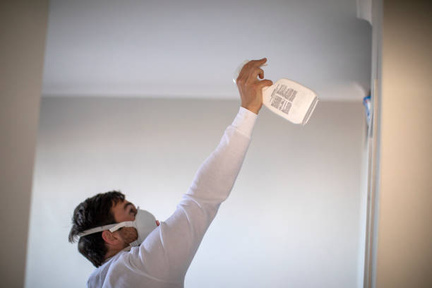 Best Certified Mold Removal  in Parker, SC