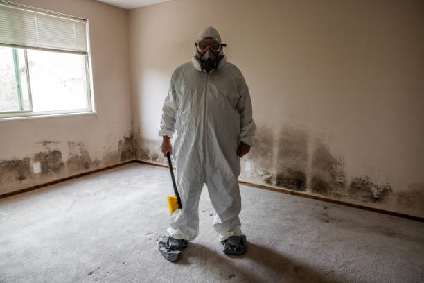Best Local Mold Removal Service  in Parker, SC