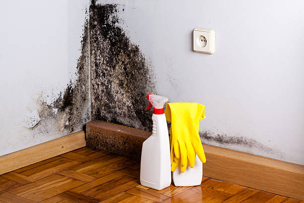 Best Crawl Space Mold Removal  in Parker, SC